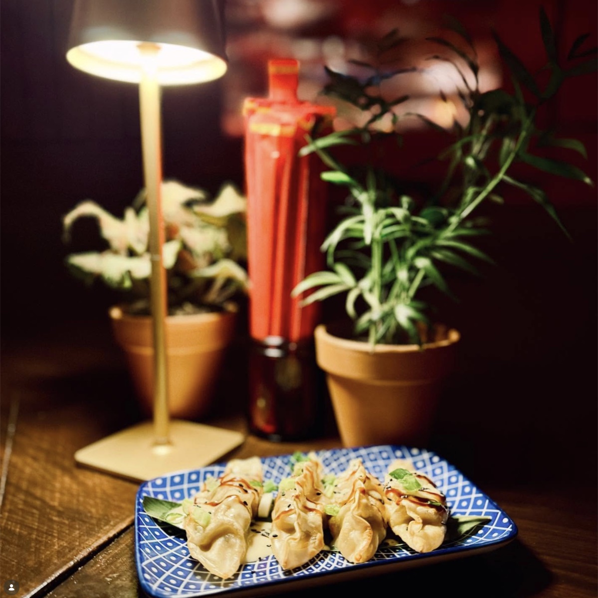 Gyoza trempé dans une sauce épicée — Gaijin Montréal